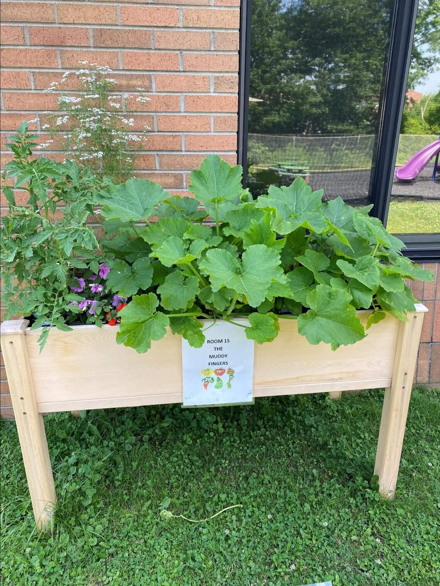 Recording: Summer Garden Storytime