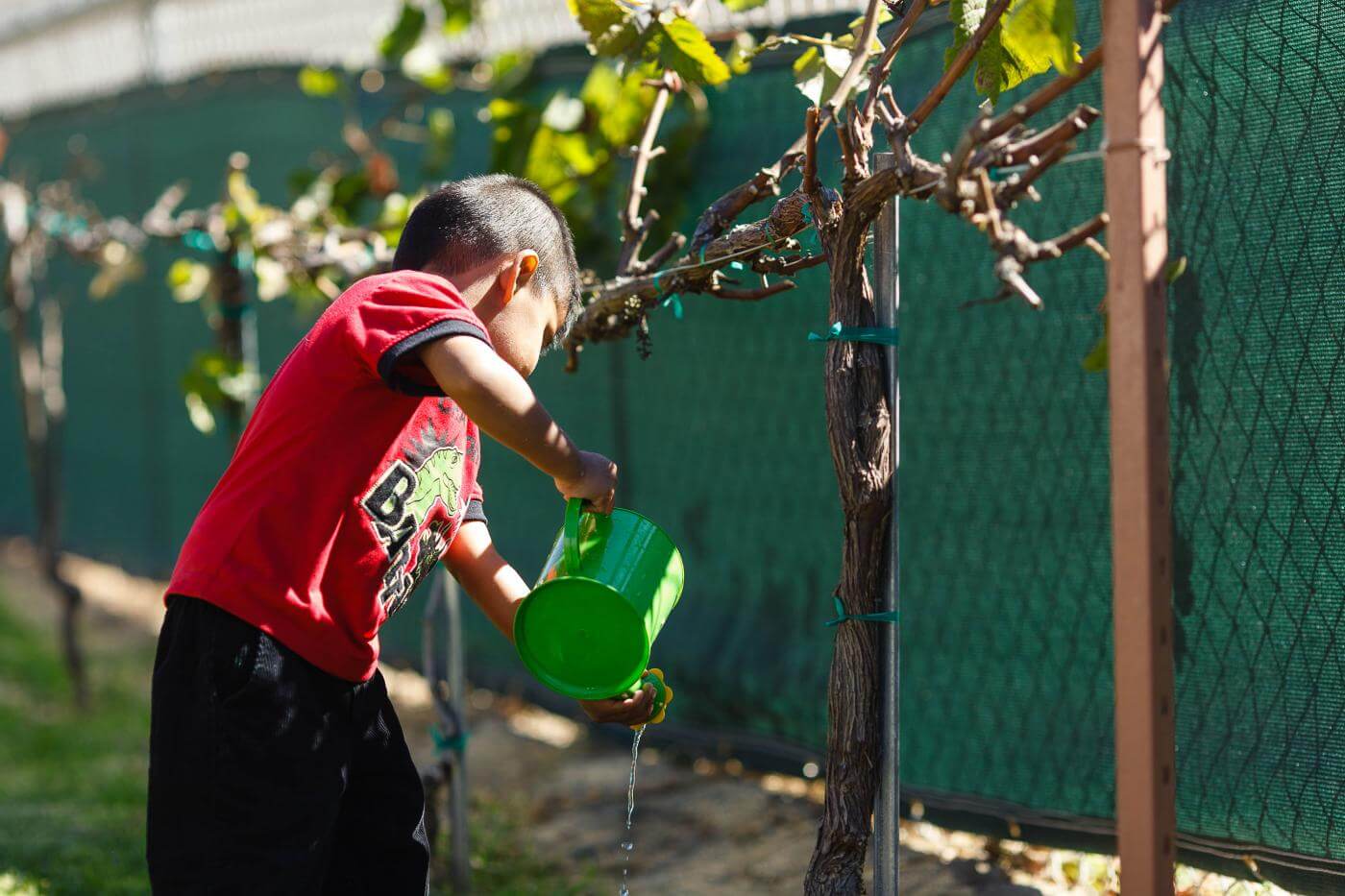 Webinar Series: GroMore Gardens