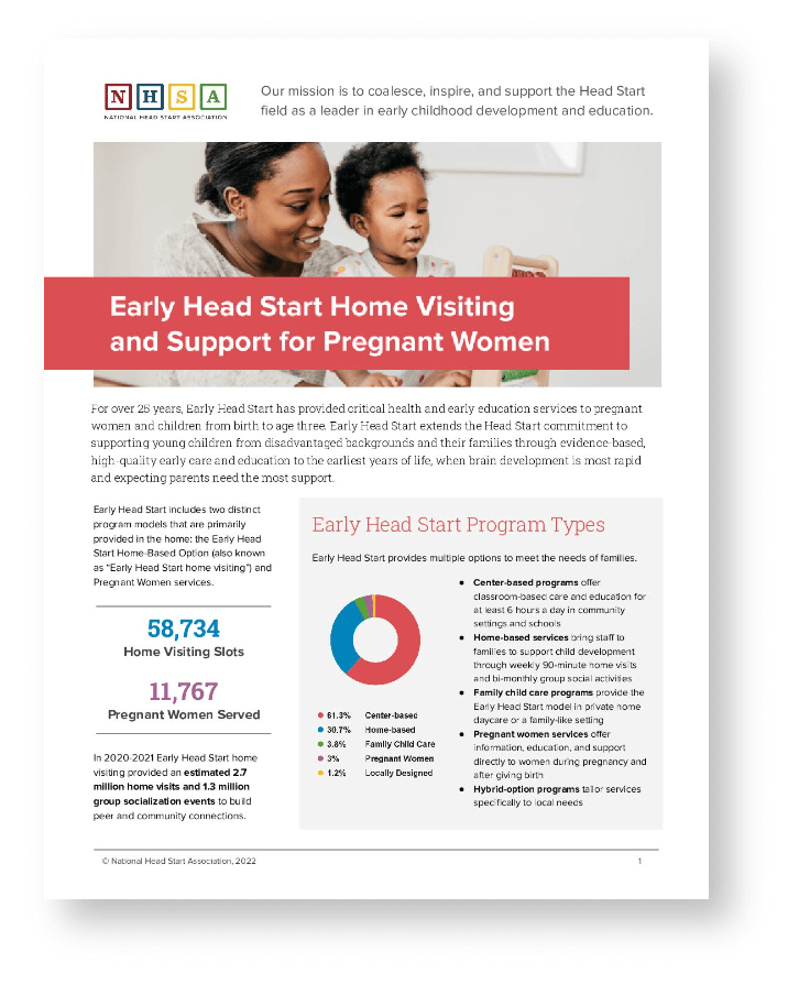 Home Visiting and Support for Pregnant Women Issue Brief