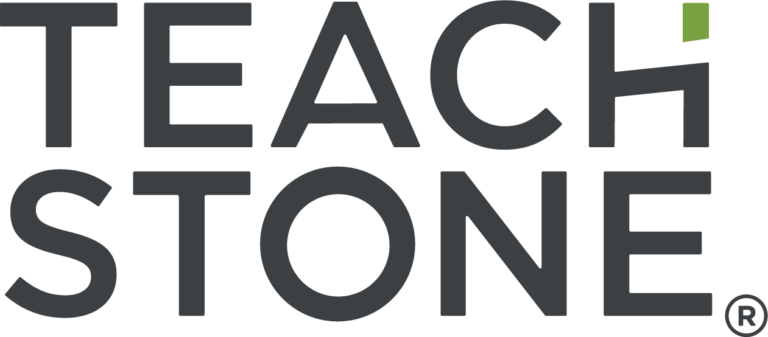 graphic logo of TEACH STONE