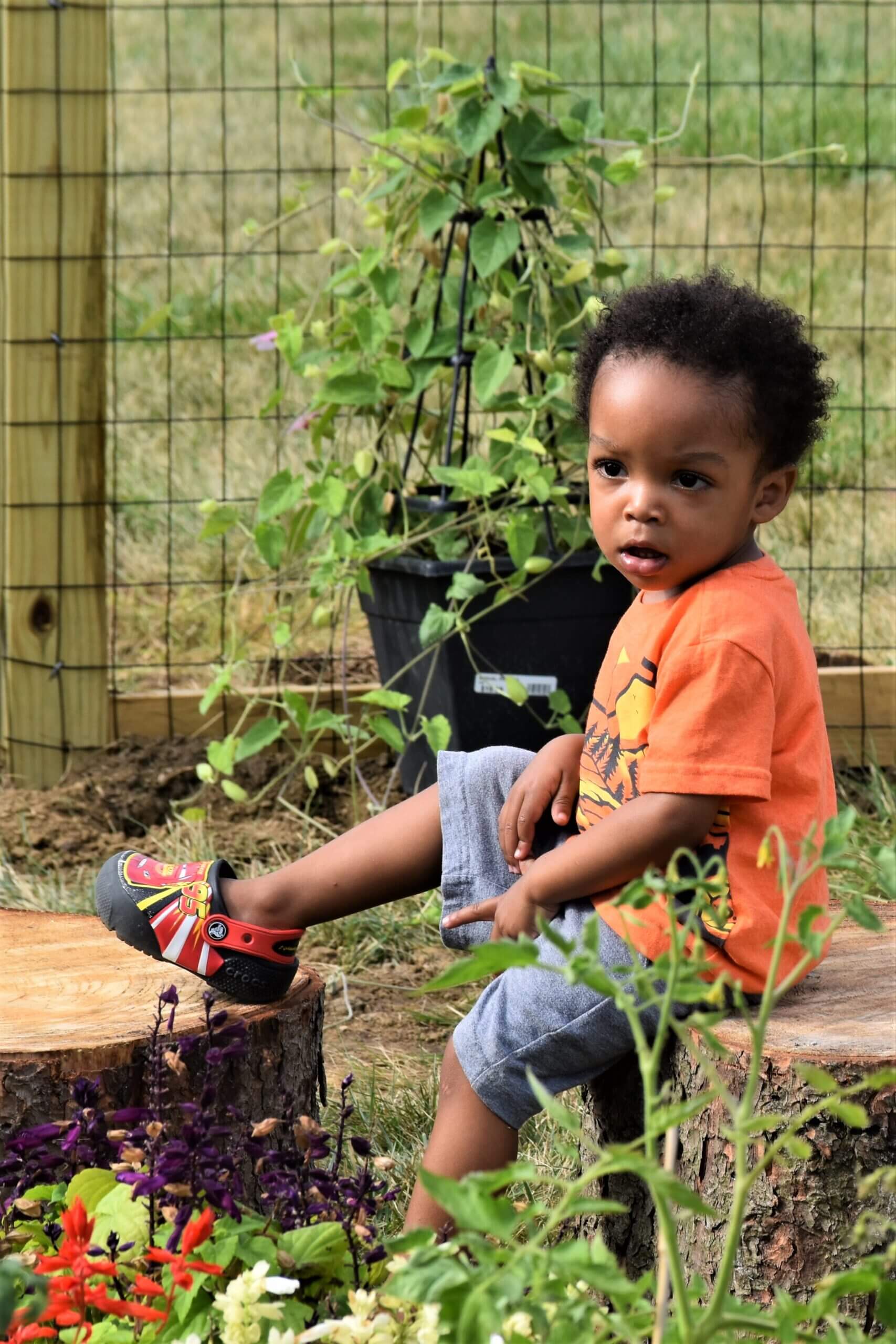 NHSA and The Scotts Miracle-Gro Foundation Announce Annual Grant Recipient Winners